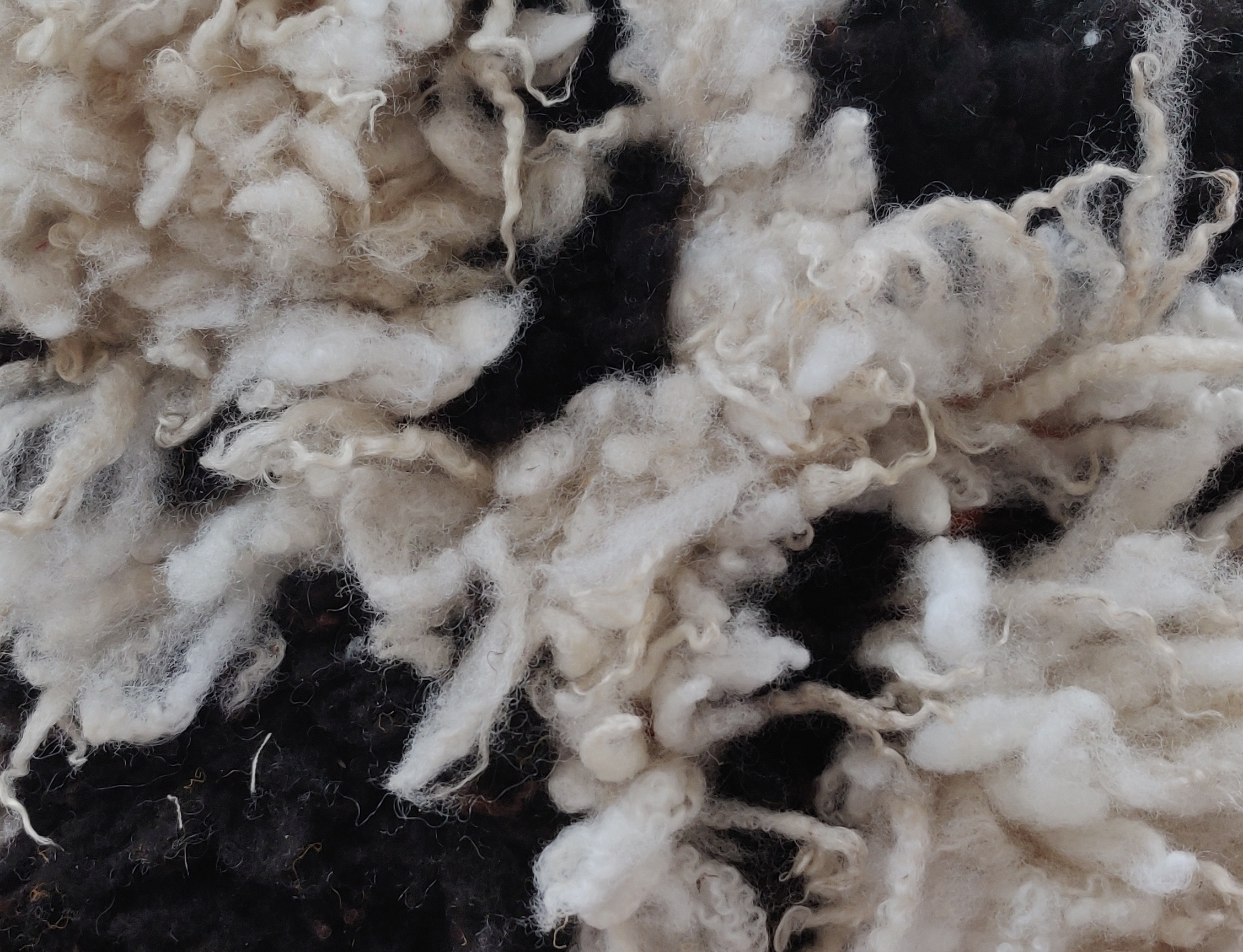 argue SHETLAND WOOL LINEN TWIST JACKET ジャケット/アウター 