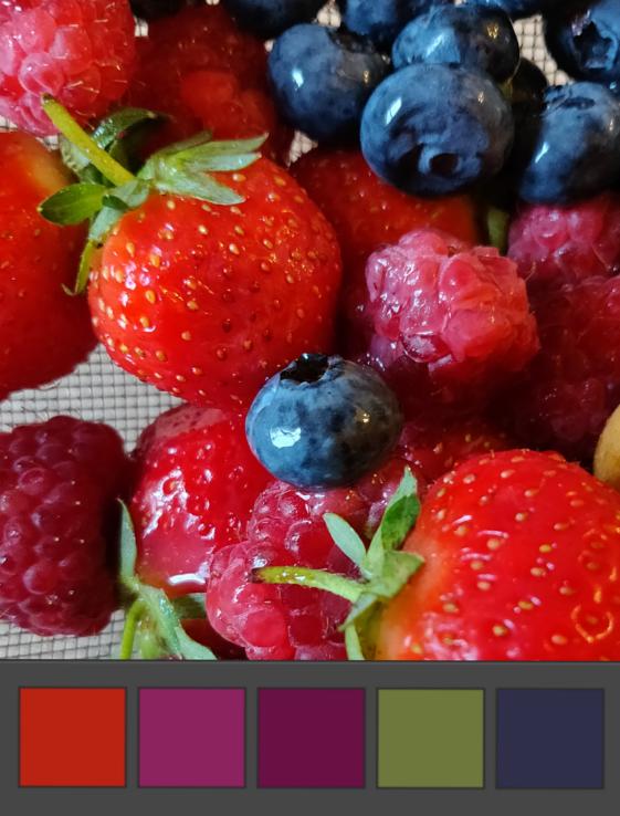 image of fruit with colour chips extracted from image